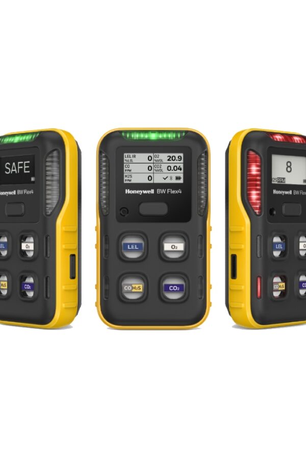 make 60 to 70 word descriptions