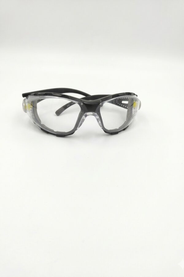 Delta Plus Pacaya Clear Safety Glasses